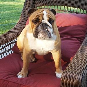 Meet your Posher, Maggie